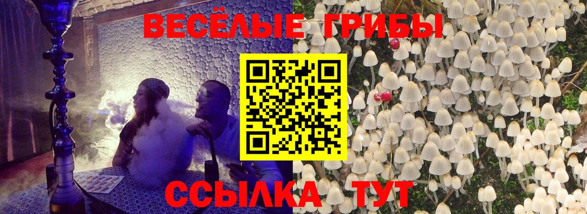 Галлюциногенные грибы Magic Shrooms Лесной