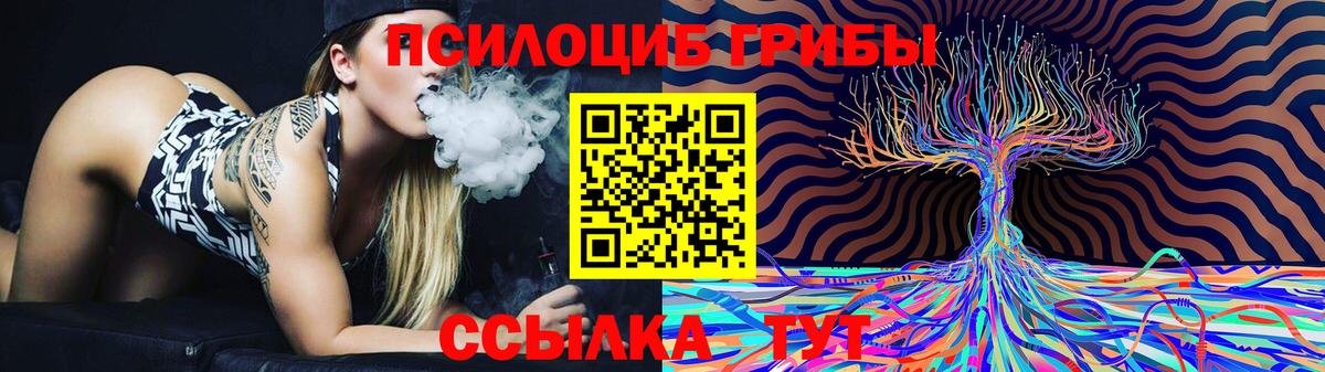 Псилоцибиновые грибы мухоморы  Вход с VPN  Лесной 